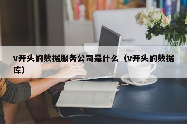 v开头的数据服务公司是什么（v开头的数据库）