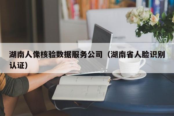 湖南人像核验数据服务公司（湖南省人脸识别认证）