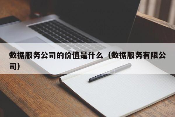 数据服务公司的价值是什么（数据服务有限公司）