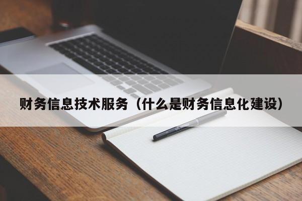财务信息技术服务（什么是财务信息化建设）