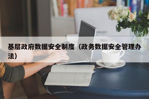 基层政府数据安全制度（政务数据安全管理办法）