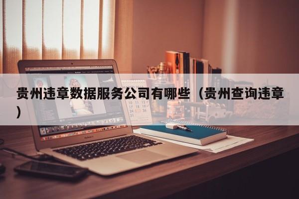 贵州违章数据服务公司有哪些（贵州查询违章）