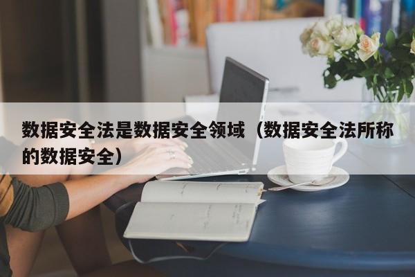 数据安全法是数据安全领域（数据安全法所称的数据安全）