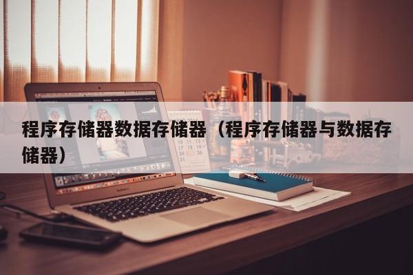 程序存储器数据存储器（程序存储器与数据存储器）