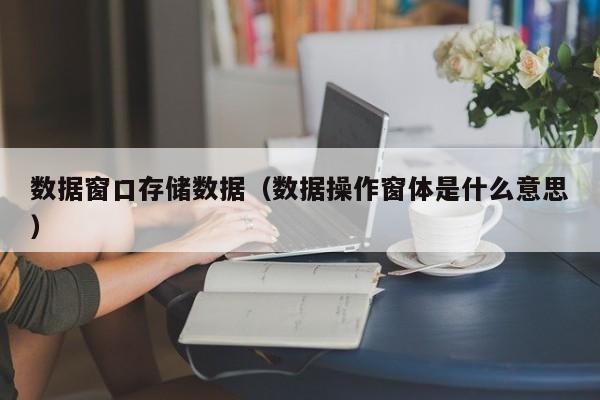 数据窗口存储数据（数据操作窗体是什么意思）