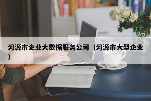 河源市企业大数据服务公司（河源市大型企业）