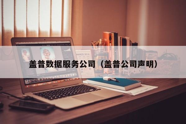 盖普数据服务公司（盖普公司声明）