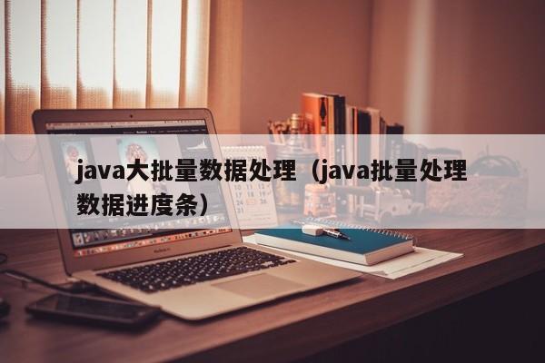 java大批量数据处理（java批量处理数据进度条）