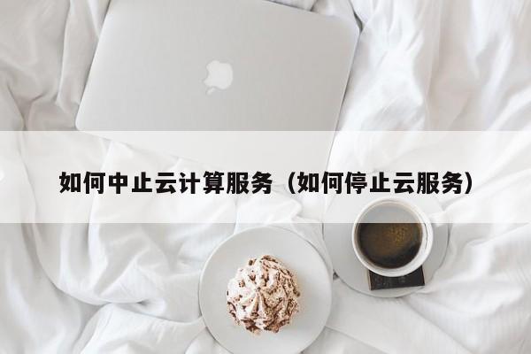 如何中止云计算服务（如何停止云服务）