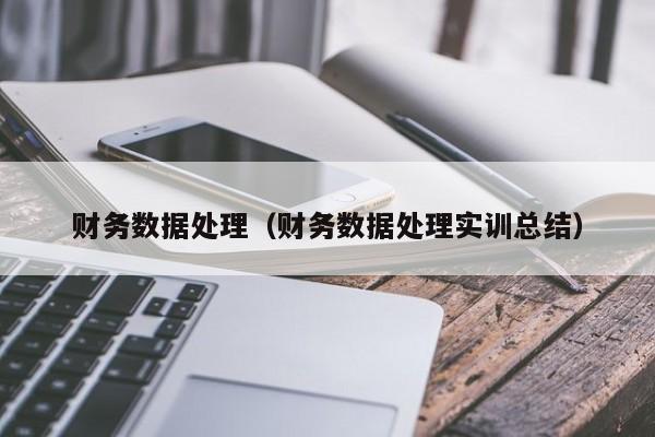 财务数据处理（财务数据处理实训总结）