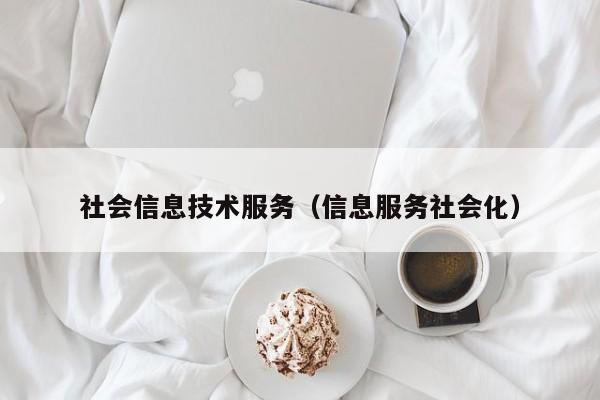 社会信息技术服务（信息服务社会化）