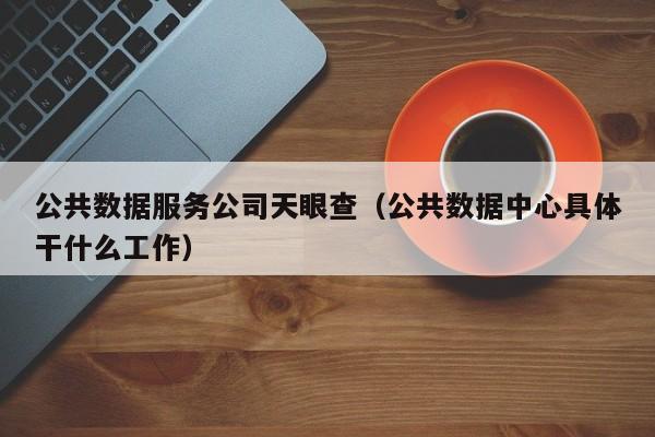 公共数据服务公司天眼查（公共数据中心具体干什么工作）