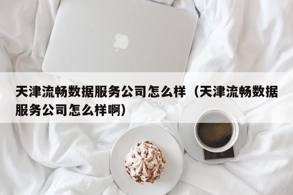 天津流畅数据服务公司怎么样（天津流畅数据服务公司怎么样啊）
