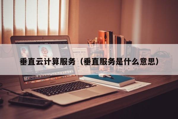 垂直云计算服务（垂直服务是什么意思）