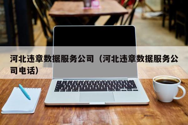 河北违章数据服务公司（河北违章数据服务公司电话）