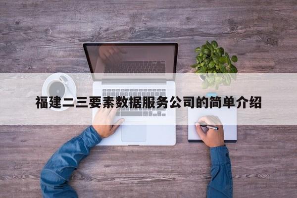 福建二三要素数据服务公司的简单介绍