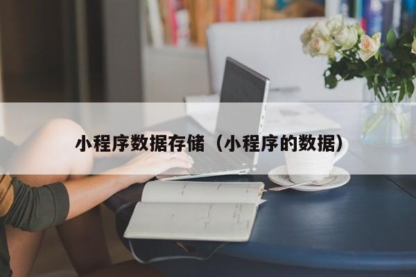小程序数据存储（小程序的数据）