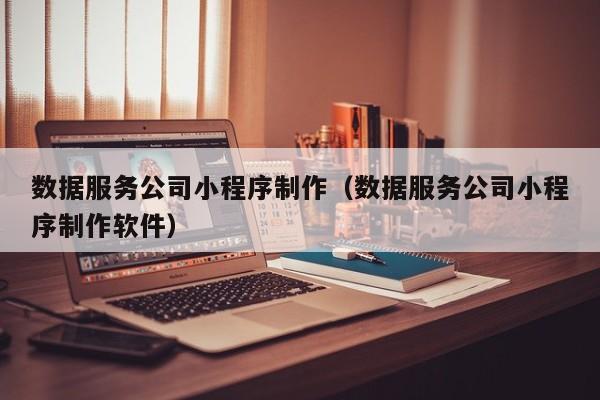 数据服务公司小程序制作（数据服务公司小程序制作软件）