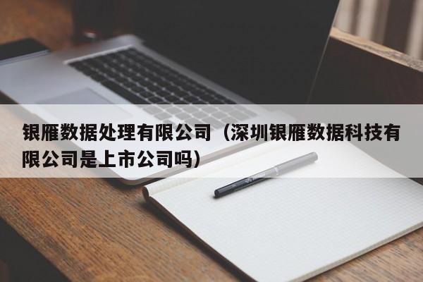 银雁数据处理有限公司（深圳银雁数据科技有限公司是上市公司吗）