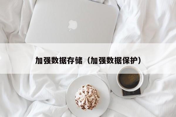加强数据存储（加强数据保护）