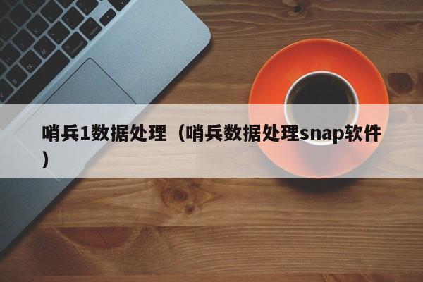 哨兵1数据处理（哨兵数据处理snap软件）