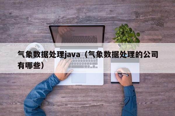 气象数据处理java（气象数据处理的公司有哪些）