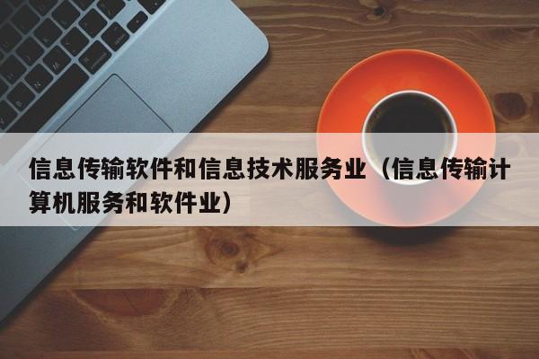 信息传输软件和信息技术服务业（信息传输计算机服务和软件业）
