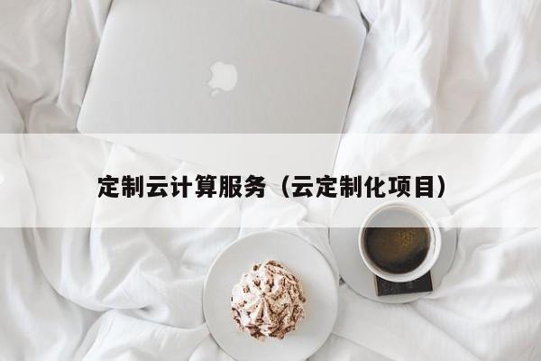 定制云计算服务（云定制化项目）