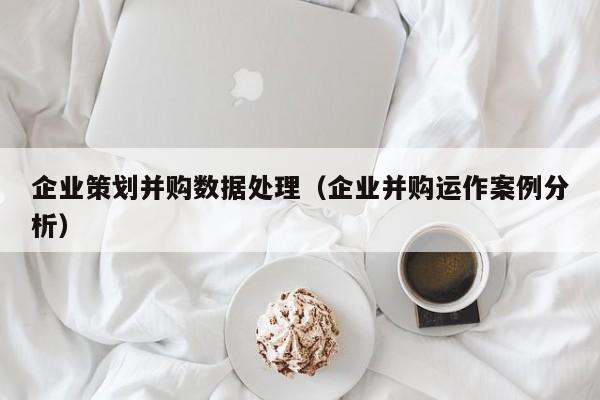 企业策划并购数据处理（企业并购运作案例分析）