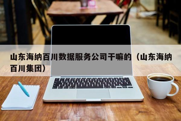 山东海纳百川数据服务公司干嘛的（山东海纳百川集团）